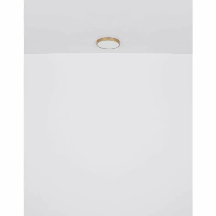 Luminaires Globo Lighting Éclairage Led|Plafonnier Globo TIBEY LED Laiton, 1 lumière