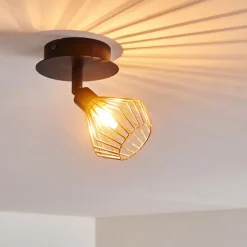 hofstein Spots Et Projecteurs|Plafonnier Grönhöj Noir, 1 lumière