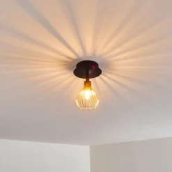 hofstein Spots Et Projecteurs|Plafonnier Grönhöj Noir, 1 lumière