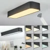 Lampe Éclairage Led|Plafonnier Iriondo LED Noir, 1 lumière, Télécommandes