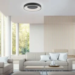Luminaires Leuchten Direkt Éclairage Led|Plafonnier Leuchten-Direkt ANIKA LED Anthracite, 1 lumière, Télécommandes