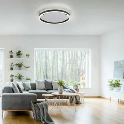 Luminaires Leuchten Direkt Éclairage Led|Plafonnier Leuchten-Direkt RITUS LED Anthracite, 1 lumière