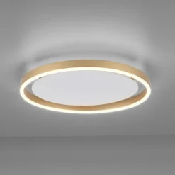 Luminaires Leuchten Direkt Éclairage Led|Plafonnier Leuchten-Direkt RITUS LED Laiton, 1 lumière
