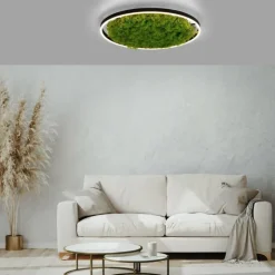 Luminaires Leuchten Direkt Éclairage Led|Plafonnier Leuchten-Direkt GREEN RITUS LED Noir, 1 lumière