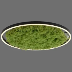 Luminaires Leuchten Direkt Éclairage Led|Plafonnier Leuchten-Direkt GREEN RITUS LED Noir, 1 lumière