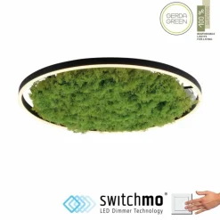 Luminaires Leuchten Direkt Éclairage Led|Plafonnier Leuchten-Direkt GREEN RITUS LED Noir, 1 lumière