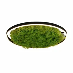 Luminaires Leuchten Direkt Éclairage Led|Plafonnier Leuchten-Direkt GREEN RITUS LED Noir, 1 lumière