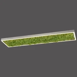 Luminaires Leuchten Direkt Éclairage Led|Plafonnier Leuchten-Direkt GREEN KNUT LED Argenté, 1 lumière