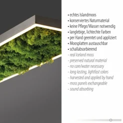 Luminaires Leuchten Direkt Éclairage Led|Plafonnier Leuchten-Direkt GREEN KNUT LED Argenté, 1 lumière