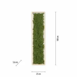 Luminaires Leuchten Direkt Éclairage Led|Plafonnier Leuchten-Direkt GREEN KNUT LED Argenté, 1 lumière