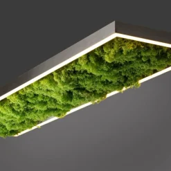 Luminaires Leuchten Direkt Éclairage Led|Plafonnier Leuchten-Direkt GREEN KNUT LED Argenté, 1 lumière