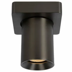 Luminaires Lucide Spots Et Projecteurs|Plafonnier Lucide NIGEL LED Acier inoxydable, Noir, 1 lumière
