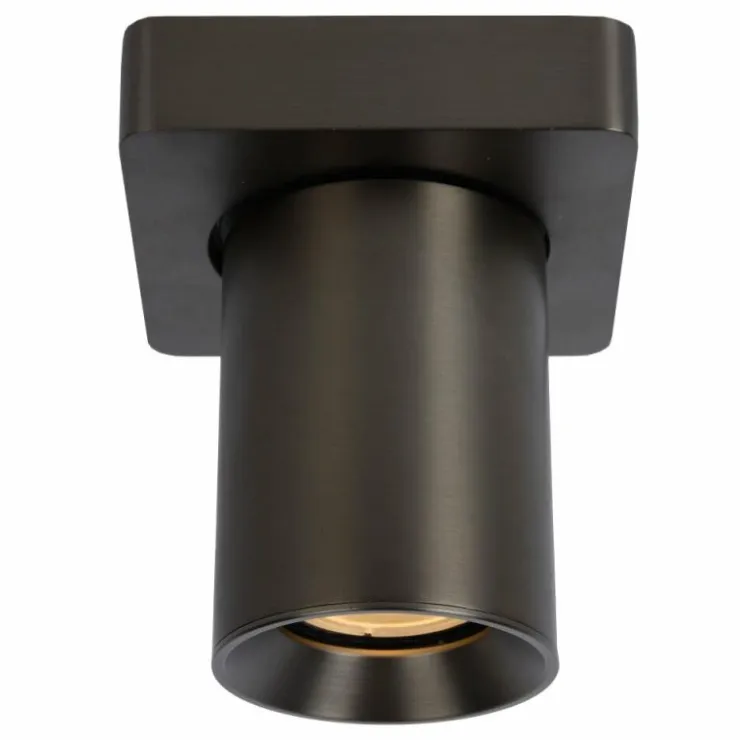 Luminaires Lucide Spots Et Projecteurs|Plafonnier Lucide NIGEL LED Acier inoxydable, Noir, 1 lumière