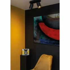 Luminaires Lucide Spots Et Projecteurs|Plafonnier Lucide PUNCH Noir, 2 lumières