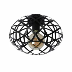 Luminaires Lucide Plafonniers|Plafonnier Lucide WOLFRAM Noir, 1 lumière
