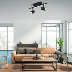 Luminaires Paul Neuhaus Spots Et Projecteurs|Plafonnier Paul Neuhaus BARIK LED Noir, 2 lumières