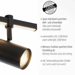 Luminaires Paul Neuhaus Spots Et Projecteurs|Plafonnier Paul Neuhaus BARIK LED Noir, 2 lumières