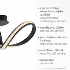 Luminaires Paul Neuhaus Éclairage Led|Plafonnier Paul Neuhaus BRILLA LED Noir, 1 lumière