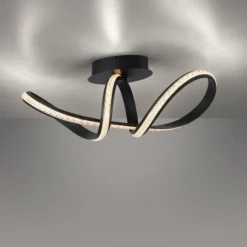 Luminaires Paul Neuhaus Éclairage Led|Plafonnier Paul Neuhaus BRILLA LED Noir, 1 lumière