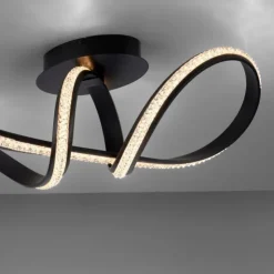 Luminaires Paul Neuhaus Éclairage Led|Plafonnier Paul Neuhaus BRILLA LED Noir, 1 lumière