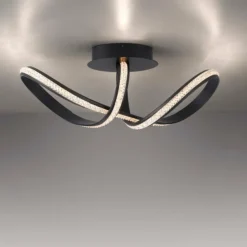 Luminaires Paul Neuhaus Éclairage Led|Plafonnier Paul Neuhaus BRILLA LED Noir, 1 lumière
