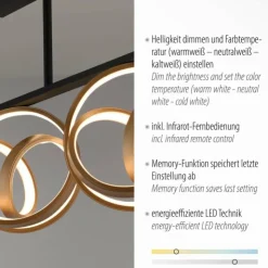 Luminaires Paul Neuhaus Éclairage Led|Plafonnier Paul Neuhaus LOOP LED Laiton, Noir, 3 lumières, Télécommandes