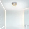 Luminaires Paul Neuhaus Éclairage Led|Plafonnier Paul Neuhaus PURE-GEMIN LED Aluminium, Noir, 12 lumières