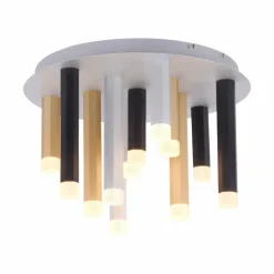 Luminaires Paul Neuhaus Éclairage Led|Plafonnier Paul Neuhaus PURE-GEMIN LED Aluminium, Noir, 12 lumières