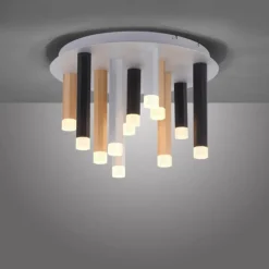 Luminaires Paul Neuhaus Éclairage Led|Plafonnier Paul Neuhaus PURE-GEMIN LED Aluminium, Noir, 12 lumières