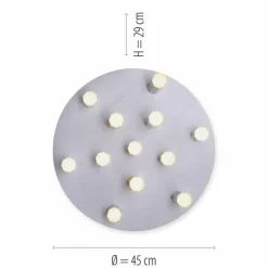 Luminaires Paul Neuhaus Éclairage Led|Plafonnier Paul Neuhaus PURE-GEMIN LED Aluminium, Noir, 12 lumières