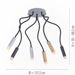 Luminaires Paul Neuhaus Éclairage Led|Plafonnier Paul Neuhaus PURE-GEMIN LED Aluminium, Laiton, Noir, 6 lumières