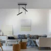Luminaires Paul Neuhaus Éclairage Led|Plafonnier Paul Neuhaus PURE-TUTUA LED Noir, 2 lumières