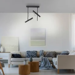 Luminaires Paul Neuhaus Éclairage Led|Plafonnier Paul Neuhaus PURE-TUTUA LED Noir, 2 lumières