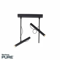 Luminaires Paul Neuhaus Éclairage Led|Plafonnier Paul Neuhaus PURE-TUTUA LED Noir, 2 lumières