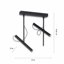 Luminaires Paul Neuhaus Éclairage Led|Plafonnier Paul Neuhaus PURE-TUTUA LED Noir, 2 lumières
