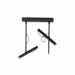 Luminaires Paul Neuhaus Éclairage Led|Plafonnier Paul Neuhaus PURE-TUTUA LED Noir, 2 lumières