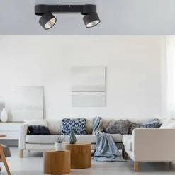 Luminaires Paul Neuhaus Éclairage Led|Plafonnier Paul Neuhaus PURE-NOLA LED Noir, 2 lumières