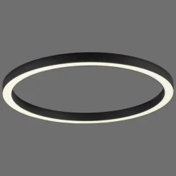 Luminaires Paul Neuhaus Éclairage Led|Plafonnier Paul Neuhaus PURE-LINES LED Anthracite, 1 lumière, Télécommandes