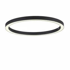 Luminaires Paul Neuhaus Éclairage Led|Plafonnier Paul Neuhaus PURE-LINES LED Anthracite, 1 lumière, Télécommandes