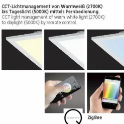 Plafonnier Paul Neuhaus Q-Flag LED Blanc, 1 lumière, Télécommandes