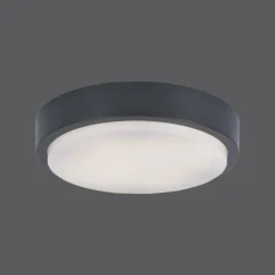 Plafonnier Paul Neuhaus Q-LENNY LED Anthracite, 1 lumière, Télécommandes, Changeur de couleurs