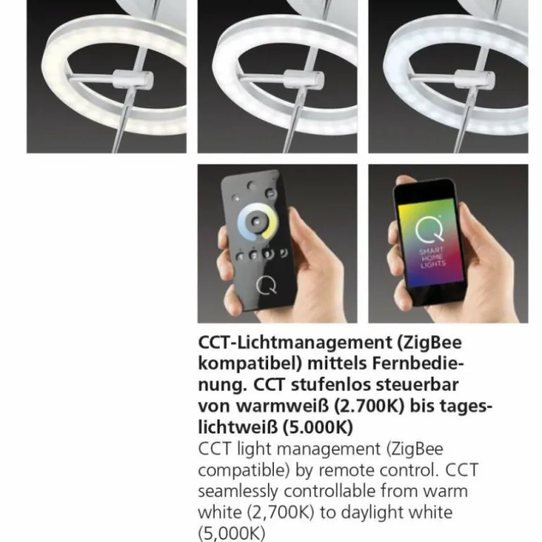 Plafonnier Paul Neuhaus Q-AMY LED Acier inoxydable, 2 lumières, Télécommandes