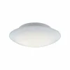 Plafonnier Paul Neuhaus Q-ARKTIS LED Blanc, 1 lumière, Télécommandes, Changeur de couleurs