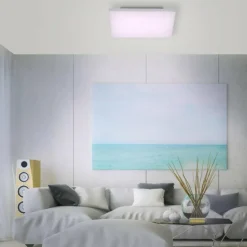 Plafonnier Paul Neuhaus Q-FLAG LED Blanc, 1 lumière, Télécommandes, Changeur de couleurs