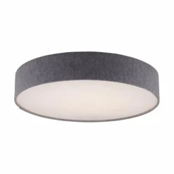 Plafonnier Paul Neuhaus Q-KIARA LED Gris, 1 lumière, Télécommandes