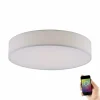 Plafonnier Paul Neuhaus Q-KIARA LED Blanc, 1 lumière, Télécommandes