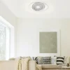 Plafonnier Paul Neuhaus Q-AMIRA LED Acier brossé, 1 lumière, Télécommandes