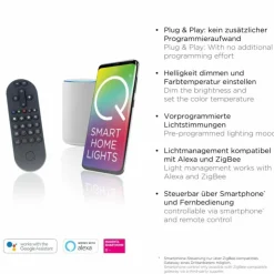 Paul Neuhaus Q-Serie Éclairage Led|Plafonnier Paul Neuhaus QSWING LED Argenté, 1 lumière, Télécommandes