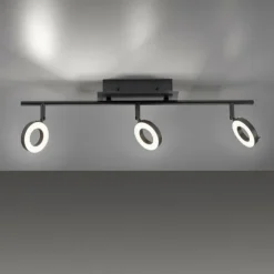 Luminaires Paul Neuhaus Spots Et Projecteurs|Plafonnier Paul Neuhaus SILEDA Anthracite, 3 lumières