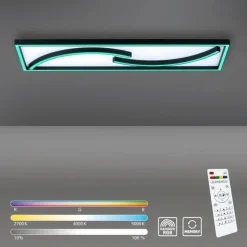 Luminaires Paul Neuhaus Éclairage Led|Plafonnier Paul Neuhaus SERPENT LED Noir, 1 lumière, Télécommandes, Changeur de couleurs